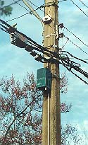 ctv0015.jpg (18266 bytes)